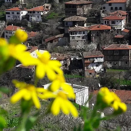 Hotel Demirkapi